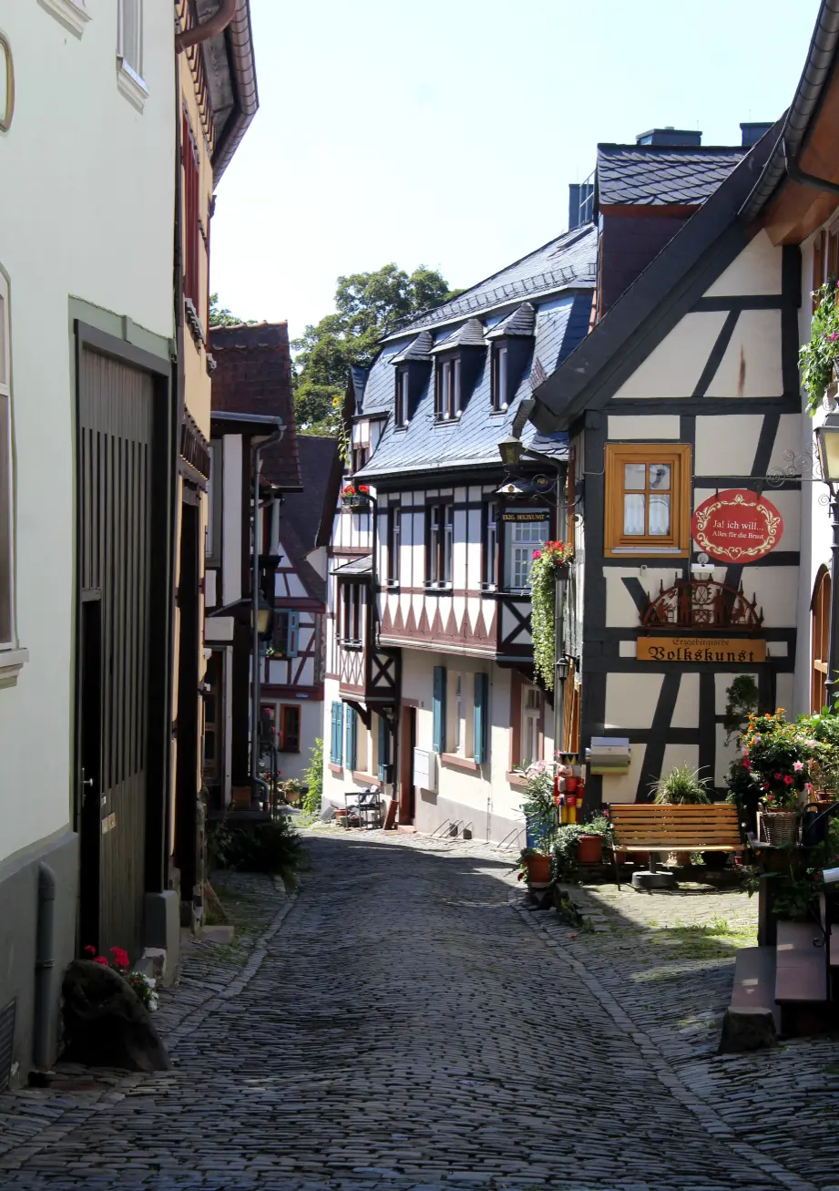 Exklusive Residenzen in Kronberg