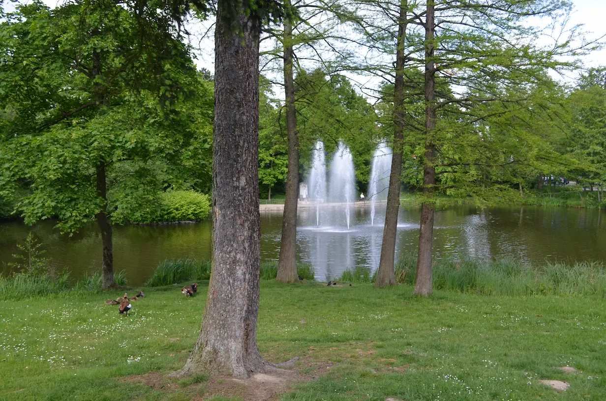 Bewegte Natur
