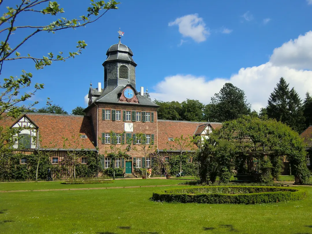 Bewegter Stadtwald